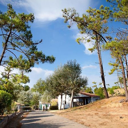 Village Vacances Le Petit Bec Сент-Илер-де-Рье Экстерьер фото